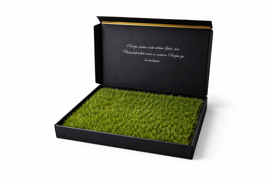 Mieze-Katzengras Schwarz